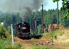 2021.09.25 JHMD U46.101 Jindřichův Hradec - Nová Bystřice (8)